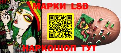PSILOCYBIN Бугуруслан