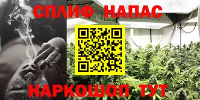 PSILOCYBIN Бугуруслан