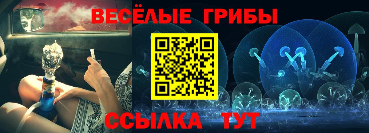 Галлюциногенные грибы Magic Shrooms Родники