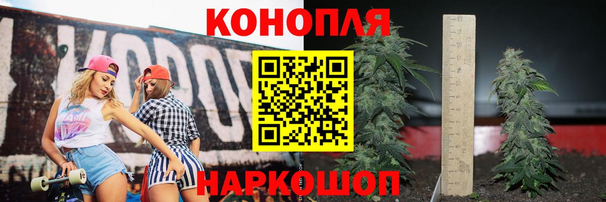 Бошки марихуана план  Вход с VPN  МАРИХУАНА ГИДРОПОН  Родники 